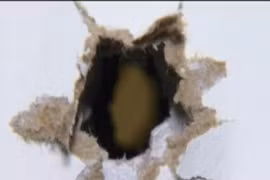 Hai mẹ con thoát chết khi hàng xóm vô tình bắn súng vào nhà