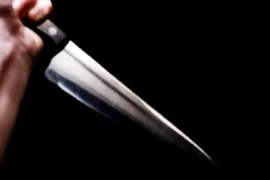 Thiếu niên 15 tuổi giết bà và mẹ vì bị rầy la