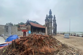 Chặt hạ cây đa khi chưa được phép, Ban Khánh tiết đình Chèm nhận trách nhiệm 