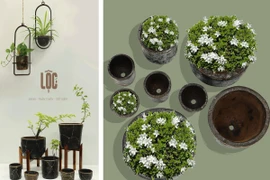 Công bố Top 25+ vào Chung kết Cuộc thi Designed by VietNam 2022