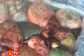 Đột kích kho nội tạng động vật không rõ nguồn gốc