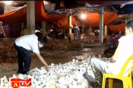 Chặn vi phạm vệ sinh ATTP từ việc kiểm tra các chợ đầu mối