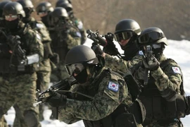 Hàn Quốc lập đơn vị đặc nhiệm, chuyên tấn công mục tiêu chiến lược Triều Tiên