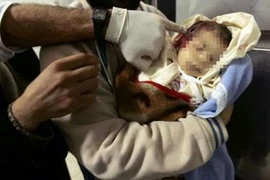 Ham con trai, cha định giết con gái 3 ngày tuổi