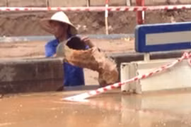 Thản nhiên múc bùn đất, đổ tràn đường Liễu Giai