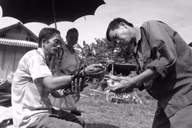 Năm Tỵ kể chuyện "thần y" trị độc rắn 