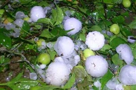 Mưa đá to bằng quả trứng gà, rơi xuống vùng cao Thanh Hóa