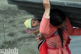 Dê Chú Thàng tìm cách vá ánh sáng trời, lấp tiếng mưa đêm