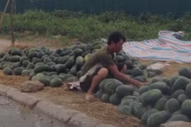 HN: Dưa hấu ê hề vỉa hè, bán tống bán tháo 6.000đ/kg
