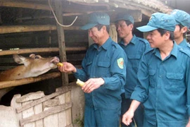 Chi bộ quân sự cấp xã, phường, thị trấn ở Vĩnh Phúc (bài 3)