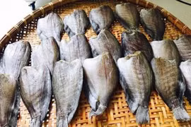 Lan man cá khô và khô cá