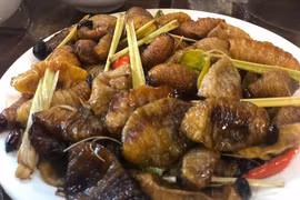 Khi sâu trở thành thức khoái khẩu