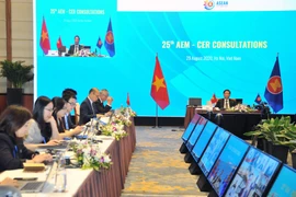 Nỗ lực ký kết Hiệp định Đối tác kinh tế toàn diện khu vực trong năm 2020