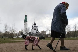 Tác động của đại dịch Covid-19 đến cuộc chiến chống đói nghèo ở nước Nga