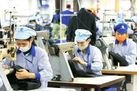 Năm 2020: Việt Nam thực hiện tốt “nhiệm vụ kép”, tạo điều kiện thuận lợi cho các hoạt động đối ngoại 