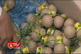 Sử dụng mạng xã hội để buôn bán gần 400 quả pháo lựu đạn