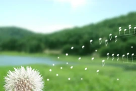 Không làm, ngồi mơ cả đời cũng chỉ là giấc mơ mà thôi.