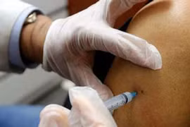 Sẽ có vaccine chống sốt xuất huyết