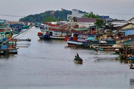 Đề nghị sớm điều tra, xử lý nghiêm tình trạng tranh chấp ngư trường ở vùng biển Cà Mau