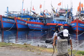 Đà Nẵng xử lý nghiêm người không chịu di dời, Quảng Trị sơ tán 50.000 người tránh bão số 9