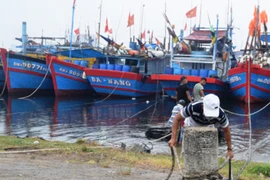 Đà Nẵng xử lý nghiêm người không chịu di dời, Quảng Trị sơ tán 50.000 người tránh bão số 9