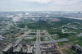 Đề xuất phạt nặng người bỏ cọc đấu giá đất, cấm tham gia trong 5 năm