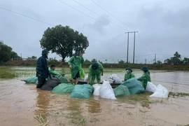 Ba người thiệt mạng, gần 10.000 cây trồng bị ngập úng do mưa lũ lớn ở Bắc bộ