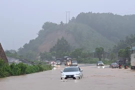 Bắc bộ bước vào cao điểm mưa, nhiều nơi mưa dồn dập, xối xả