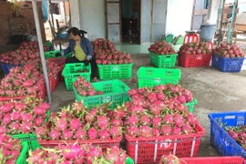 Bộ Nông nghiệp đặt mục tiêu ngành sẽ mang về 50 tỉ USD vào năm 2025