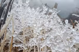 Bắc bộ chuẩn bị đón đợt rét đầu mùa, có thể xuất hiện sương muối