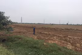 Sẽ thanh tra một số dự án giao đất không qua đấu giá, dự án chuyển đổi đất nông nghiệp