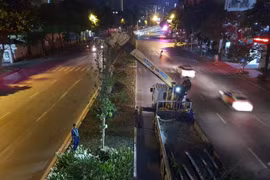 Bắt đầu đánh chuyển, thay thế cây phong trên đường Nguyễn Chí Thanh và Trần Duy Hưng