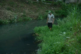 Ba Vì: Trại lợn nghìn con giữa khu dân cư gây ô nhiễm, dân bức xúc lập barie rào đường