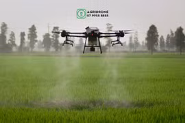 Việt Nam chính thức có tiêu chuẩn cơ sở về phun thuốc trừ sâu bệnh bằng máy bay không người lái