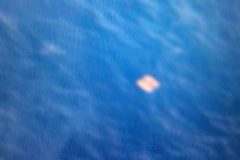 Vật thể nghi phao cứu sinh, thực chất chỉ là cuộn cáp đã bám rêu