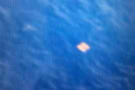 Vật thể nghi phao cứu sinh, thực chất chỉ là cuộn cáp đã bám rêu