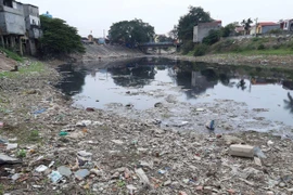 Sông Cầu ô nhiễm nặng nề, Bộ Nông nghiệp yêu cầu buộc dừng xả thải 