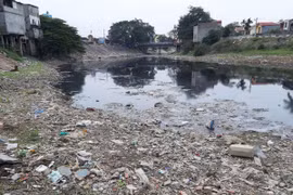 Sông Cầu ô nhiễm nặng nề, Bộ Nông nghiệp yêu cầu buộc dừng xả thải 