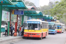 Thực hư việc đổi tên xe buýt thành “xe ô tô khách thành phố”