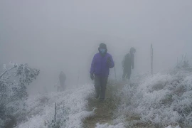 Rét hại dự báo kéo dài hết tháng 2 ở Bắc bộ, nhiều nơi xuống dưới 0 độ C