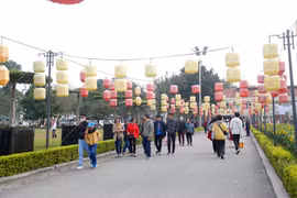 Bắc bộ nghỉ Tết Dương lịch trong rét đậm, nhiều nơi rét hại