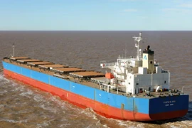 Ba thuyền viên trên tàu cá bị chìm ở Bình Định được cứu sống