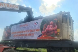 Xuất khẩu thành công lô vải thiều tươi đầu tiên bằng đường sắt đi Trung Quốc