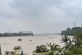 Xây dựng cầu Phong Châu mới quy mô 4 làn xe với 875 tỷ đồng