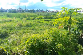 Dự án HP Elite Central Hải Phòng: Bãi đất cỏ mọc đã rao bán rầm rộ, chủ đầu tư nói “không chịu trách nhiệm”