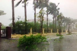 Bão Thần sấm trượt qua Móng Cái tiến lên miền núi phía Bắc