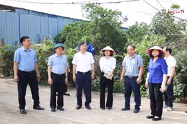 Quốc Oai tạm dừng điều hành đối với 3 Chủ tịch xã để tập trung xử lý vi phạm đất đai