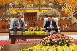 Hà Nội sẽ nỗ lực hoàn thành dự án metro Nhổn- Ga Hà Nội trong tháng 2-2022