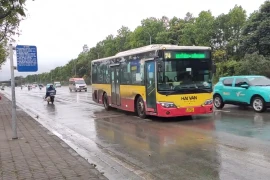 Sử dụng xe quá niên hạn chở khách, buýt Hải Vân bị xử phạt