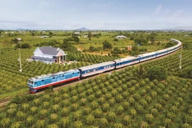 Hàng loạt mác tàu tăng cường sau Tết Nguyên đán bị hủy do vắng khách